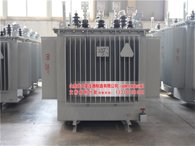 S13-1250KVA海南藏族海南藏族海南藏族海南藏族油浸式变压器